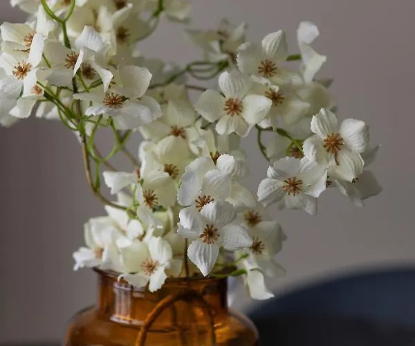 Pozytywny Mokotow With Balcony By Renters * Warszawa